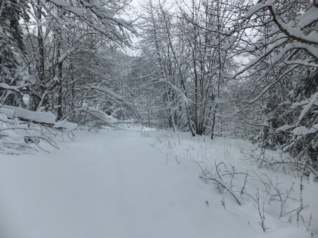 The snow-covered "path" from La Tania to La Nouvaz.